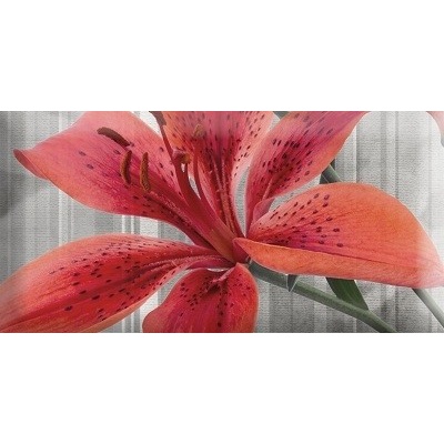 Absolut Keramika Monocolor Mix Flowers RBW 1 7.5x15