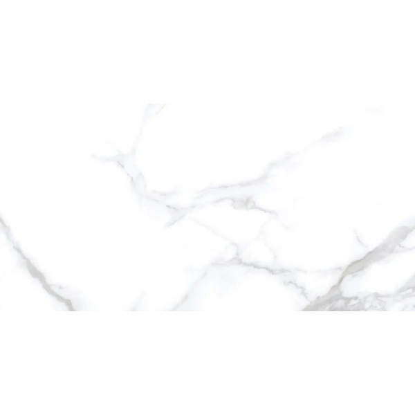 Neodom Unica N20531 Statuario Chic Polished 60x120