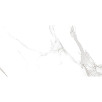 Neodom Splendida N20474 Statuario Irish Grey Polished 60x120