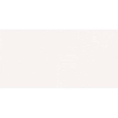 Casalgrande Padana Unicolore Technic 795718 Bianco Assoluto Antibacterial 30x60