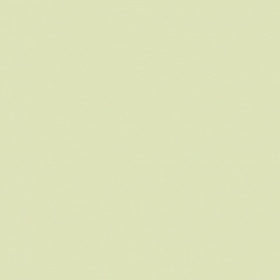 CE.SI. Matt Fieno Su Rete 10x10