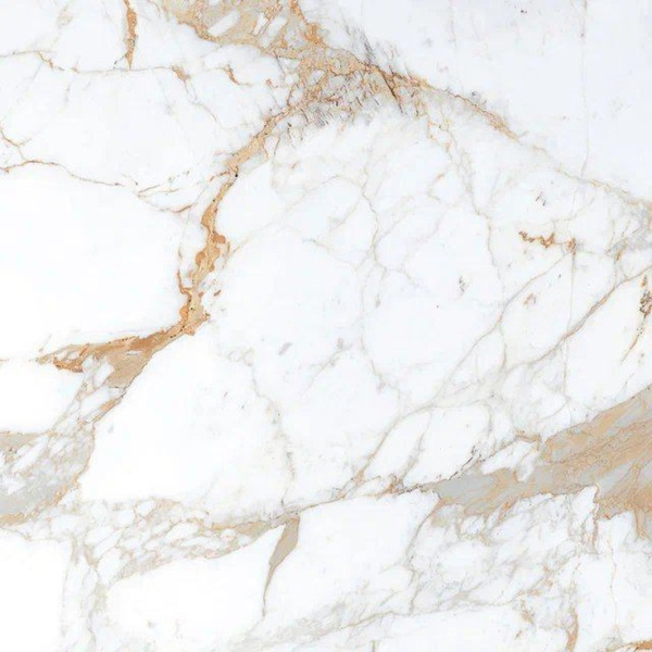 Belleza Roman Brown Glossy 60 60x60