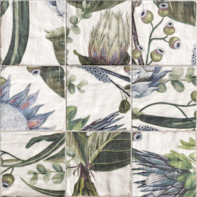 Mainzu Cinque Terre Protea (микс без подбора) 20x20
