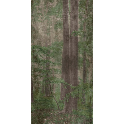 ABK Wide & Style 0007330 Woods C 160x320