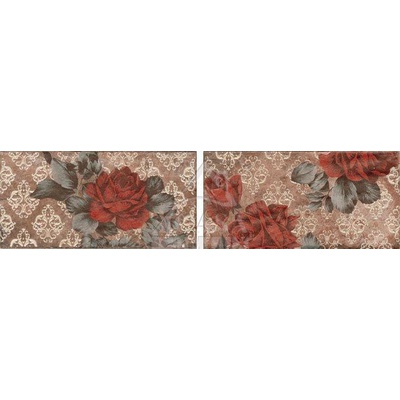 Serenissima Cir Chicago Inserto Vintage Roses Old 10x20