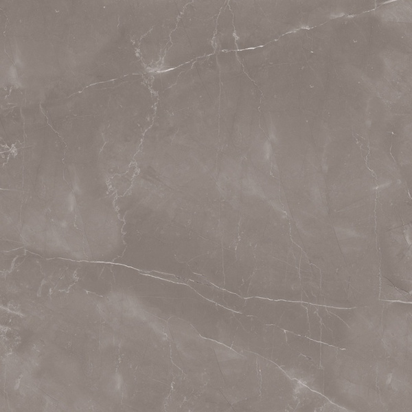 Staro Oasis Armani Gris Polished 60 60x60