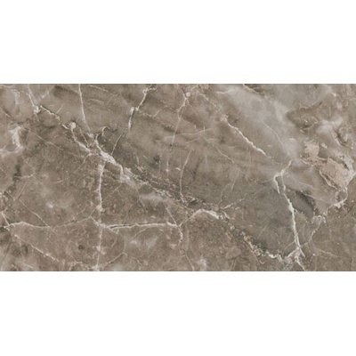 Versace Marble Grigio Onice Lap. 240066 117.5x58.5