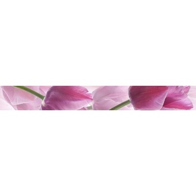 Cerrol Imperia Listwa Tulipany/Tulipa 6.5x50