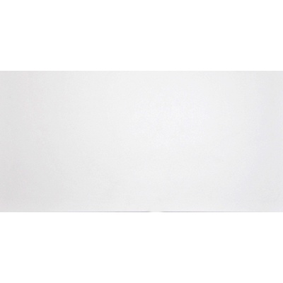 Grasaro Domino G-100/MR/300x600x10 White 30x60