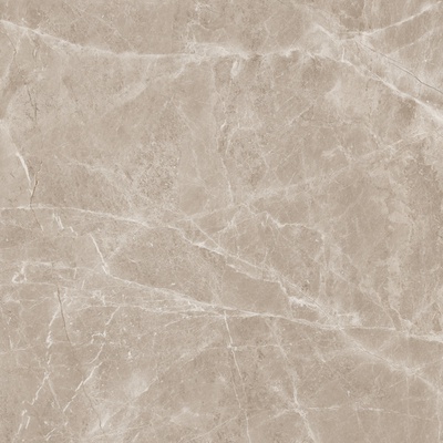 Neodom Marblestone N20462 Frappuccino Taupe Polished 120x120 - керамическая плитка и керамогранит