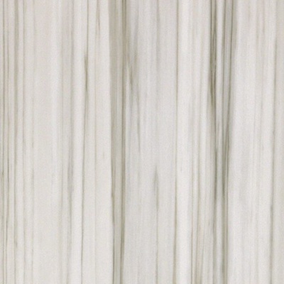 Casalgrande Padana Marmoker 2950223 Zebrino Lucido 59x59