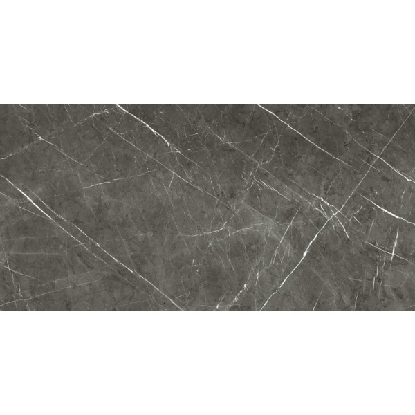 Stone Marble Grey SF.PRX.CA.GL 320 160x320