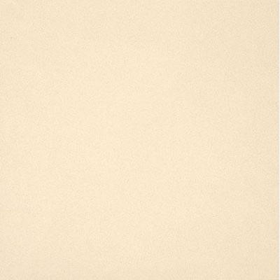 Casalgrande Padana Unicolore Technic 800001 Levigato Bianco A 40x40