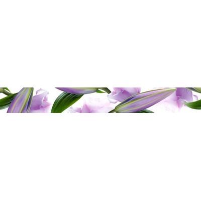 Cerrol Imperia Listwa Violetta 6.5x50