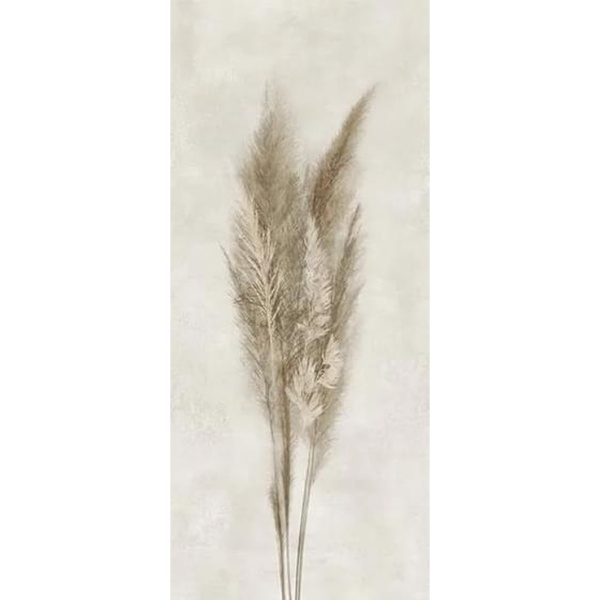 Caesar Deco Solutions AGUI Pampa Faccia B 120x278