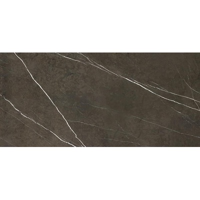 Apavisa Pietra 8431940311659 Grey Polished 119.3x260
