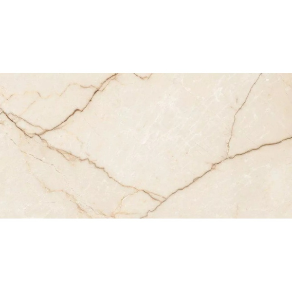 Arcadia Ceramica Rifei FP9004-CF Etna Brown 60x120