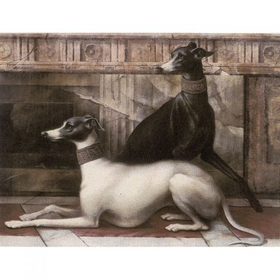 Petracer`s Grand Elegance Noblesse B B NOBLESSE B 15x20