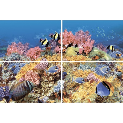 Terracotta Alba AL-P-RF1 Reef-1 (из 4-х плиток) 40x60