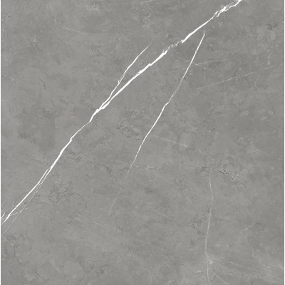 Atlas Concorde Russia Forte Dei Marmi 610010002718 Elegant Grey Rett 80x80