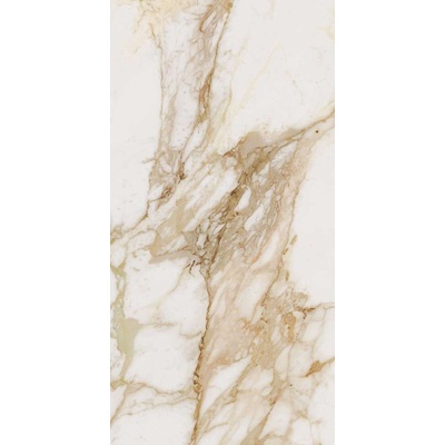 Ocean Ceramic 60x120 OC0000093 Loyal 60x120