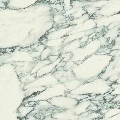 Casa Dolce Casa Stones and More 2.0 756537 Arabescato White Glossy 6mm Ret 120x120