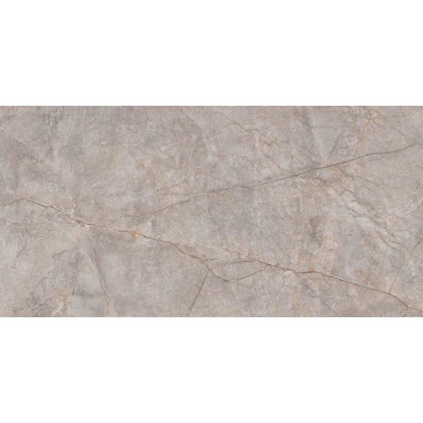 Neodom Marble N20553 Silver River Carving 60x120