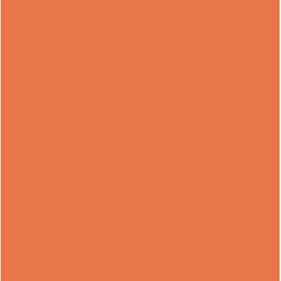 Rako Color One WAA1N450 Оранжевая 20x20