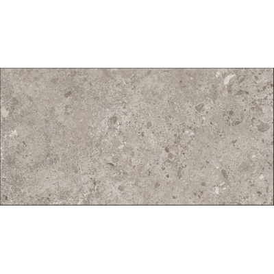 Grespania Bierzo 44BZP39 Gris 60x120