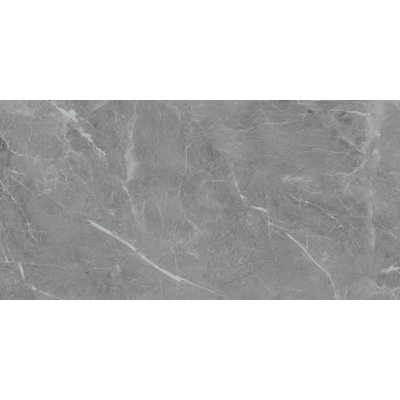Neodom Belvedere N20468 Eva Gris Polished 60x120