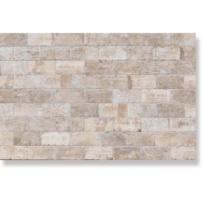 Serenissima Cir Chicago Citi Mix South Side 10x20