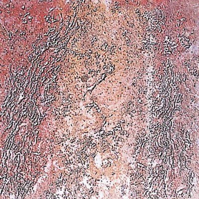 Saicis Pan di stelle Rosso 30x30 - керамическая плитка и керамогранит