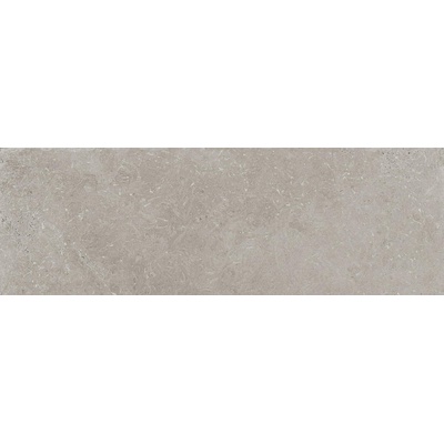 Panaria Prime Stone PG2PMS2 Silver Strutturato 20x60