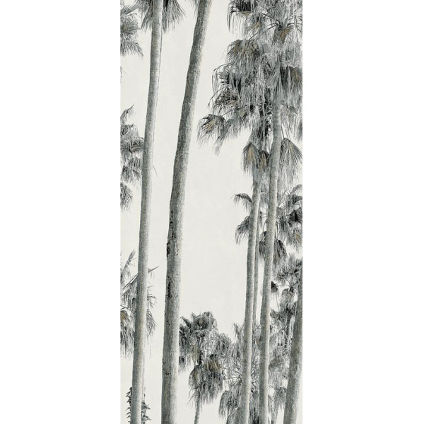 ABK Wide & Style 0009389 Hollywood A 160x320