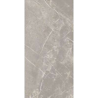 Cerim Ceramiche Elemental Stone 766526 ST Grey Dolomia Nat Ret 60x120