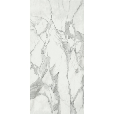 Baldocer Invictus Pulido 120x260