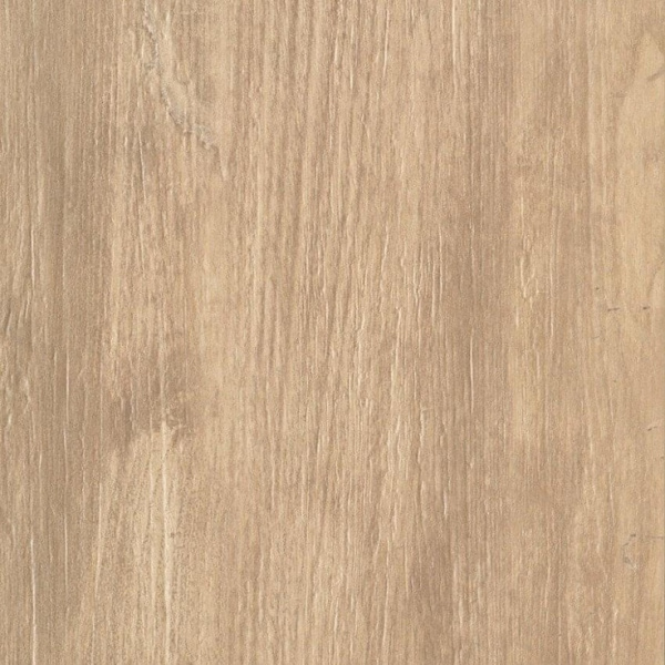 Caesar Vibe ACVI Rovere 20mm 60x60