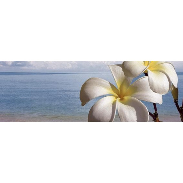 Ibero Groove Décor Beach B 25x75