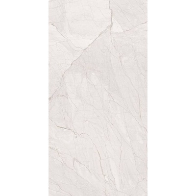 Staro Palacio Marbella Grey Polished 60x120