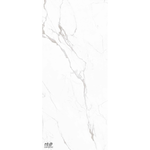 NT Ceramic Atlas Home NTT3605P Marble White 120x280