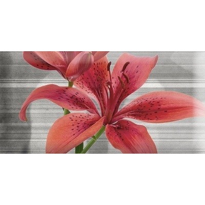 Absolut Keramika Monocolor Mix Flowers RBW 5 7.5x15