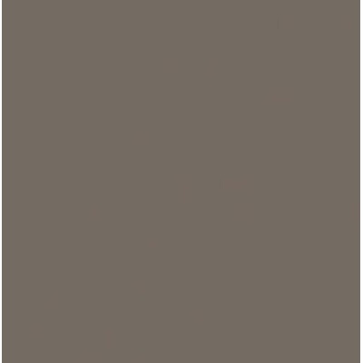 Rako Color One WAA1N313 Темно Серая 20x20