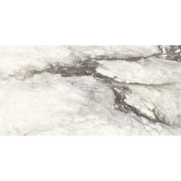 Stone Calacatta SF.ET.RN.GL 120x240