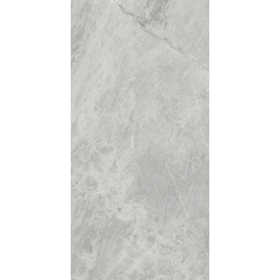 Ariostea Ultra Marmi Gris De Savoie Luc Shiny (6mm) 300x150