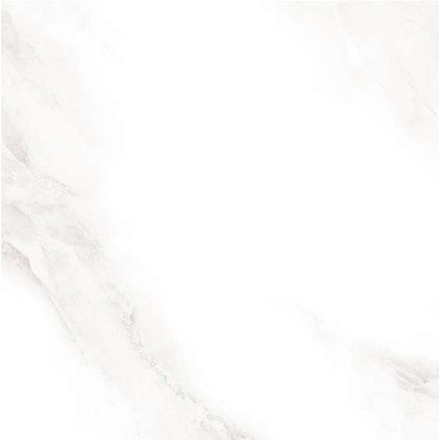 Sina Tile 60X60 2573 Shine Grey Polished 60x60