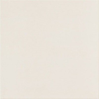 Casalgrande Padana Unicolore Technic 400004 Bianco B 20x20