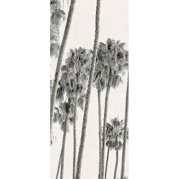 ABK Wide & Style 0009390 Hollywood B 160x320