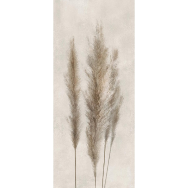 Caesar Deco Solutions AGQP Pampa RT 120x278