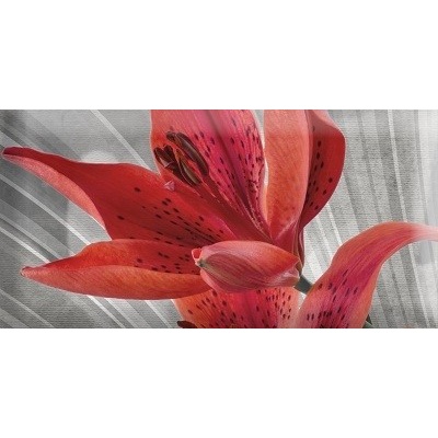 Absolut Keramika Monocolor Mix Flowers RBW 3 7.5x15