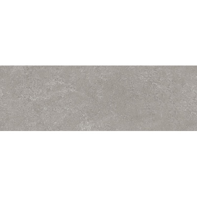 Panaria Prime Stone PZ7PM20 Silver Prime 100x300